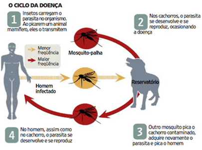 leishmaniose visceral